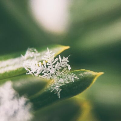 aaron-burden-5fedGbqYwvM-unsplash-2048x1536